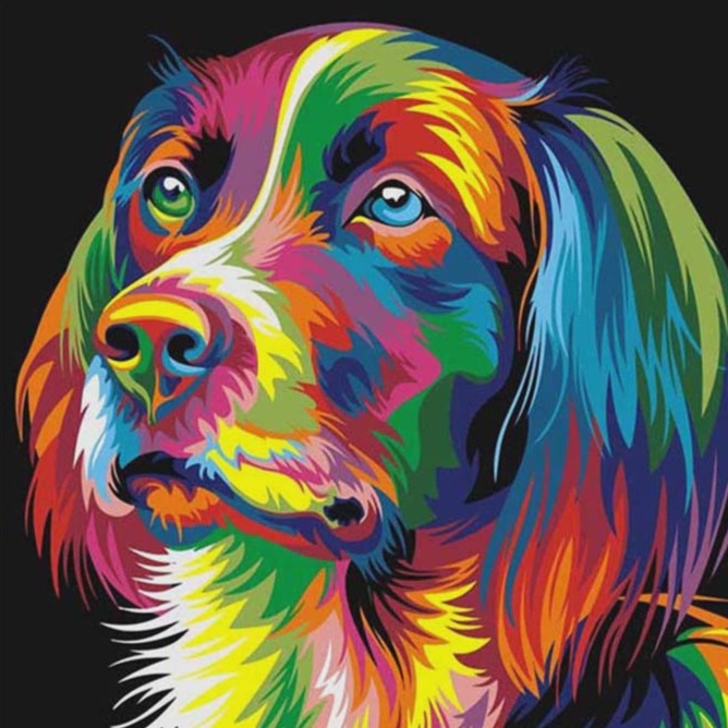 Colorful Dog - DIY Diamond Painting