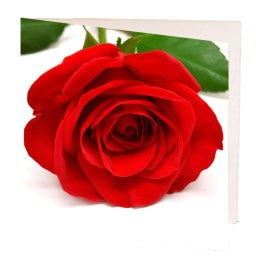Card Red Rose 7cm