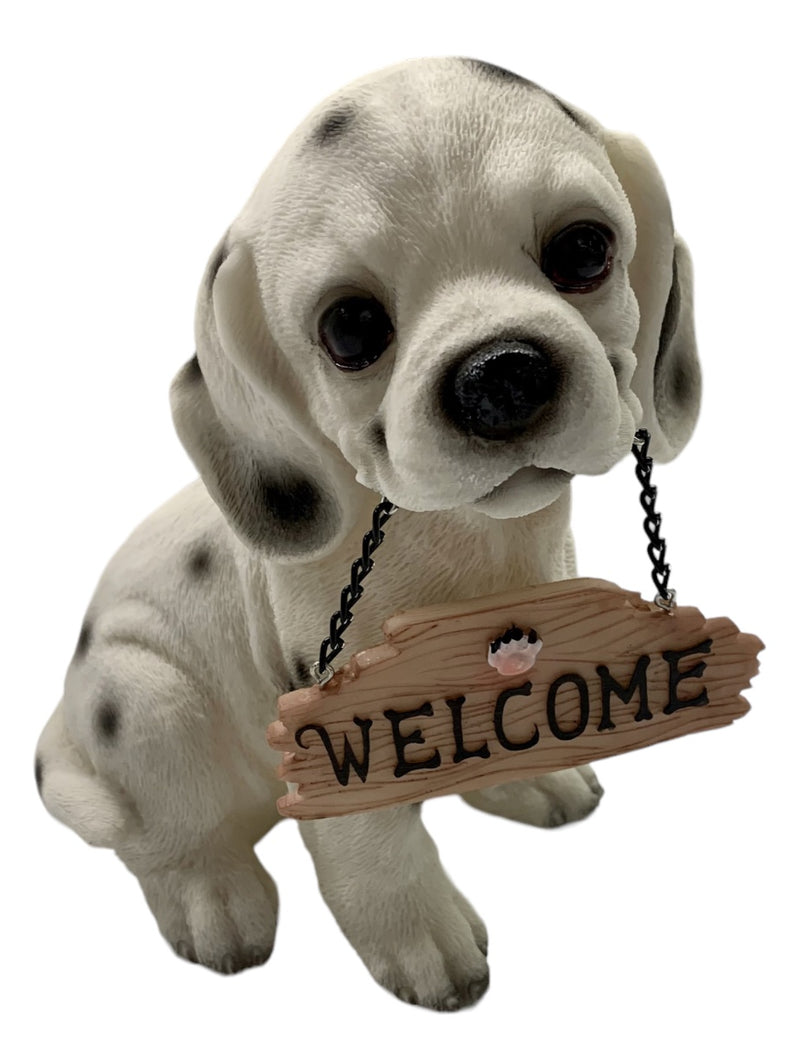 Welcome Puppy F