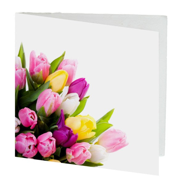 Gift Card Tulips 7cm